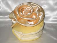 begonia_Rachel_med