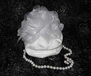 bougain_bride_med