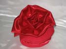 rose_Krysten_small